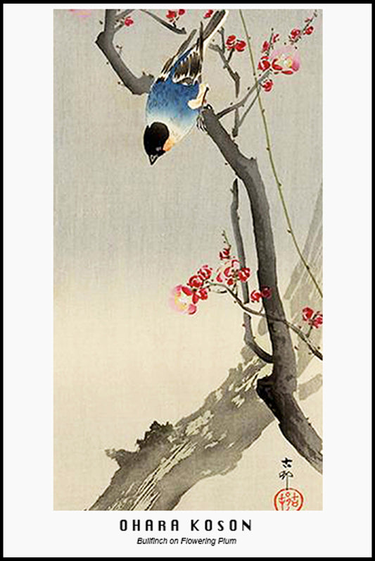 Ohara Koson - Bullfinch on Flowering Tree Poster