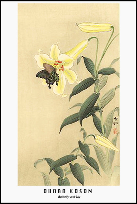 Ohara Koson - Butterfly-and-Lily Poster