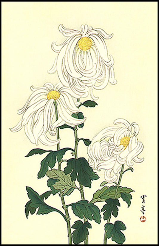 Watanabee Seitei - White Chrysanthemums