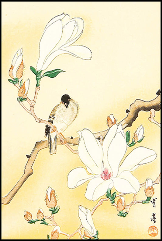 Watanabee Seitei - Bird on Magnolia